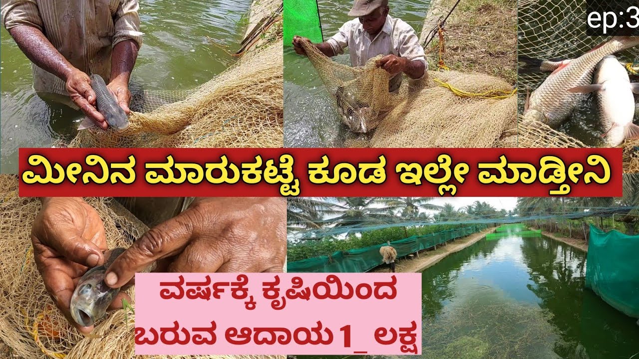 ಒಂದು ಎಕರೆಯಲ್ಲಿ ಮೀನು ಸಾಕಾಣಿಕೆ ಮಾಡುತ್ತಿದ್ದೀನಿ... ವರ್ಷಕ್ಕೆ ಇದರಿಂದ ಒಂದುವರೆಯಿಂದ ಎರಡು ಲಕ್ಷ ಆದಾಯ ಇದೆ