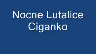 Video thumbnail of "Nocne Lutalice   Ciganko"