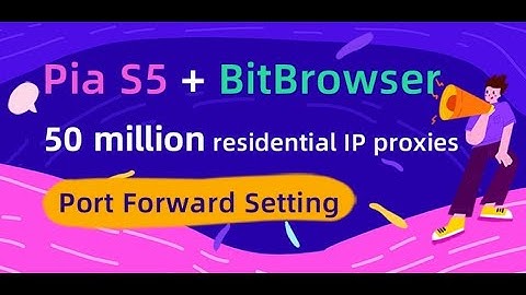 How to set the Pia S5 proxy IP in the e-commerce anti-association Bit browser?#browser #ecommerce