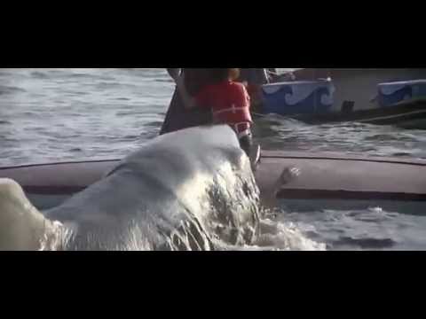 Jaws 2 - Marge Bites It