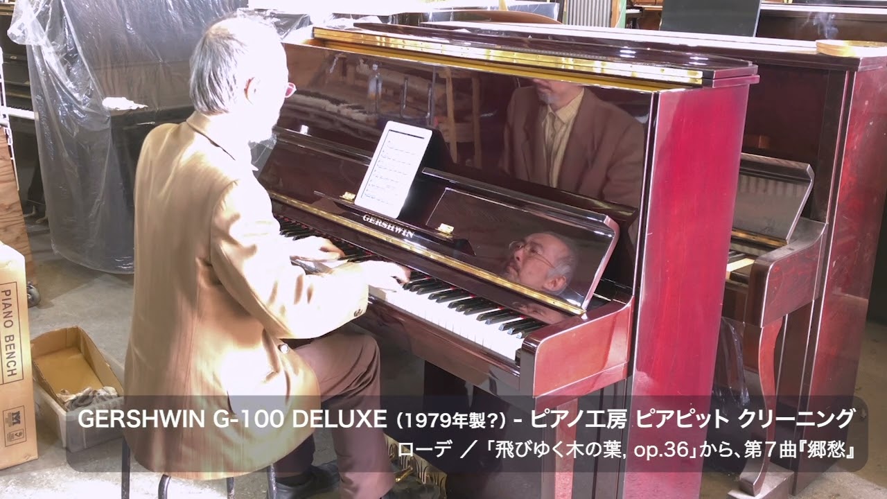 GERSHWIN／ガーシュイン G-100 DELUXE 1979年製？（ローデ／「飛びゆく