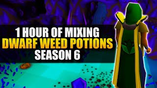 Mixing Dwarf Weed Potions (unf) | Testing OSRS Wiki Money Making Methods | Money Making Guide 2022