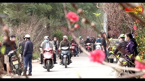 Hà Nội: Thị trường hoa cây cảnh Tết Tân Sửu vắng người mua