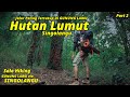 Pendakian GUNUNG LAWU via SINGOLANGU - HUTAN LUMUT | Solo Hiking Gunung lawu