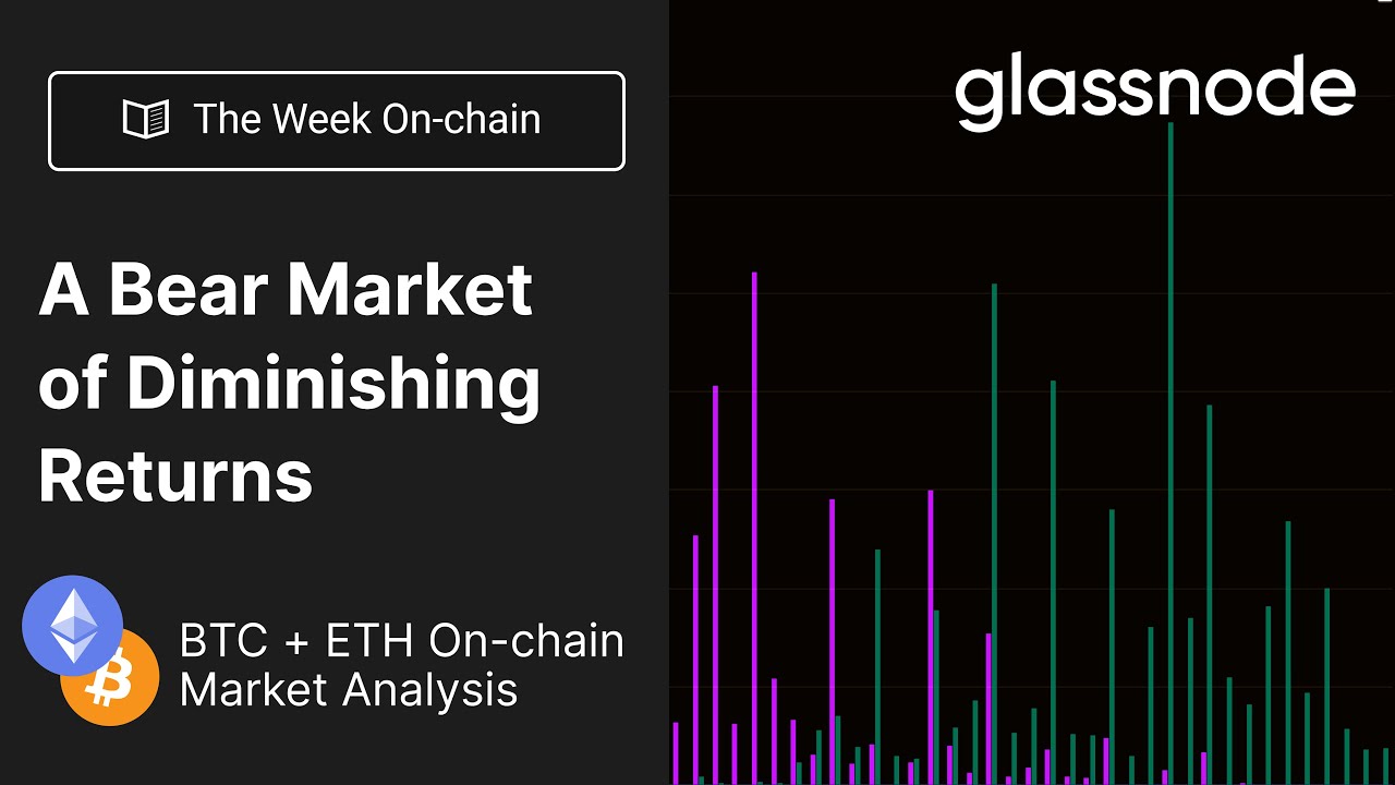 The Week Onchain: A Bear of Diminishing Returns - Week 21, 2022 (BTC and  ETH Analysis)