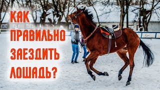 How to ride a horse? Correct horse ride Moscow hippodrome | Coach Olga Polushkina screenshot 3