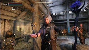 Skyrim LE - Dynamic Random Idles and Conjurer/Dark Magician Idea
