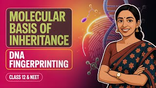 DNA Fingerprinting Class 12 | Molecular Basis of Inheritance | Biology for NEET \& CBSE board