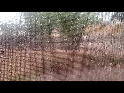 Daniel Caesar Blessed Slowed To Perfection