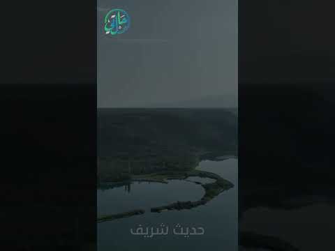 حديث شريف لتنقضن عرى الإسلام عروة عروة  حالتي الدعوية