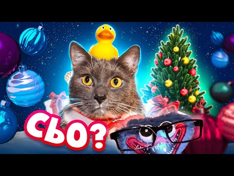 Видео: Котенок-проверка вашего дома на праздники