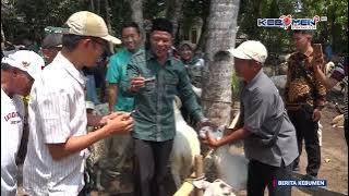 Wabup Zaeni Dorong Ternak Wedus Menjadi Ternak Unggul di Kebumen
