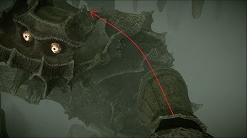 Shadow of the Colossus: Basaran Speedrun Tutorial - How to Jump directly on his back