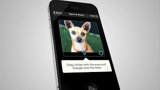 Facial Recognition for Dogs Fuels New App screenshot 5