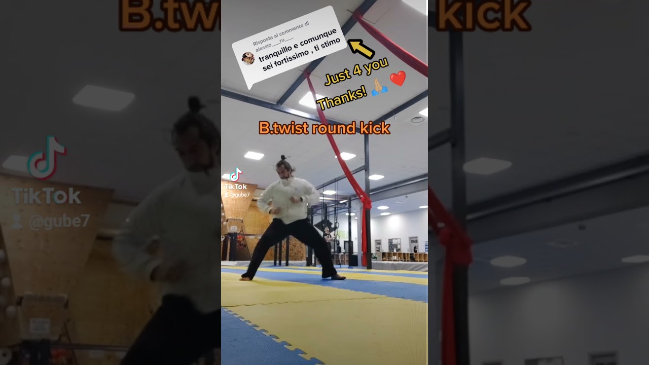 Acrobatic Martial Arts 
