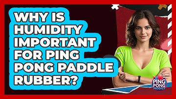 Why Is Humidity Important For Ping Pong Paddle Rubber?