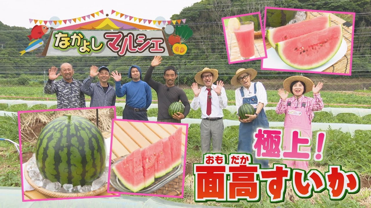 スイカ 楽天市場】鳥取産 大栄 小玉スイカ だいえいこだますいか L