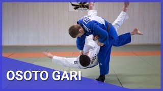 25 Técnicas A Partir do  Osotogari - ( The best judo in the world )