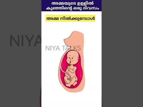 അമ മയ ട ഉള ള ൽ ക ഞ ഞ ന റ ഒര ദ വസ Shorts Trending Pregnancy Malayalam Funny Baby