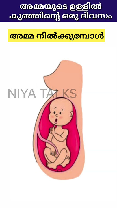 അമ്മയുടെ ഉള്ളിൽ കുഞ്ഞിന്റെ ഒരു ദിവസം 💯#shorts #trending #pregnancy #malayalam #funny #baby