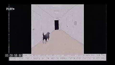 Digital picture story of Jake - Learning Assessment Q2 M3W4L1 (Mp4 format)