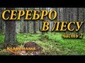 ПОИСК КЛАДОВ С ЛЕСУ. СЕРЕБРО в лесу 🌲🌲🌲 Часть 2. Кладомания