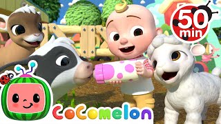 Old MacDonald Song  Baby Animals + More Nursery Rhymes & Kids Songs  CoComelon