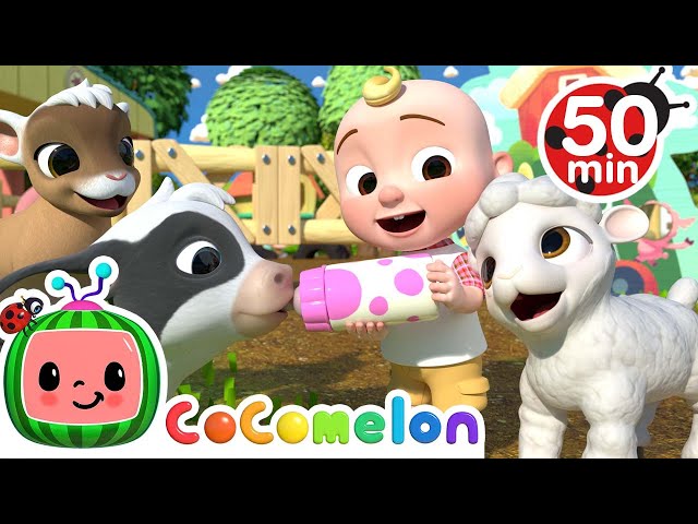 Old MacDonald Song - Baby Animals + More Nursery Rhymes u0026 Kids Songs - CoComelon class=