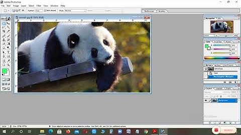 Class 7th Ch-5 (Introduction to Photoshop) Part-2