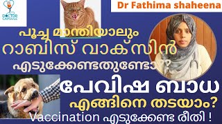 പൂച്ച മാന്തിയാലും റാബിസ് വാക്‌സിൻ എടുക്കേണ്ടതുണ്ടോ? പേവിഷബാധ എങ്ങിനെ തടയാം?vaccination!|Malayalam|