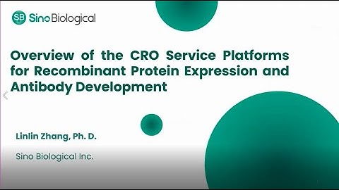 Overview of the CRO Service Platforms for Recombinant Protein Expression and Antibody Development