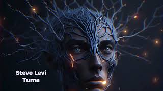 Steve Levi - Tuma (Original Mix) Resimi