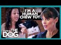 Mother is a Human Chew Toy for Her Dogs | It's Me or the Dog