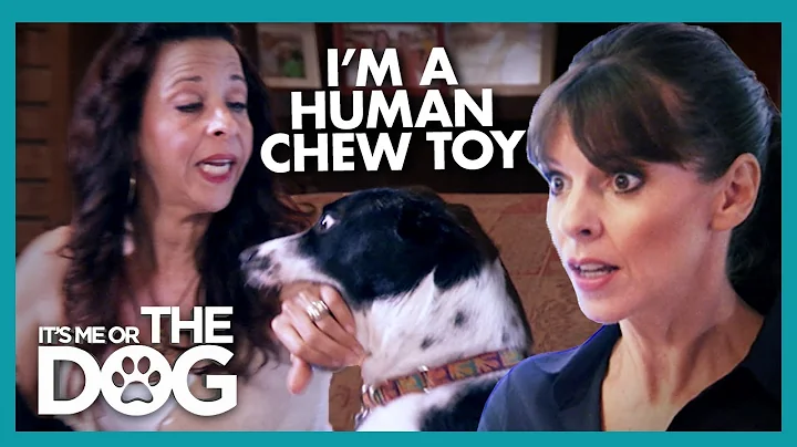 Mother is a Human Chew Toy for Her Dogs | It's Me ...