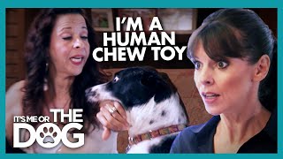 Mother is a Human Chew Toy for Her Dogs | It's Me or the Dog