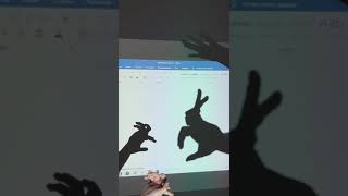 Shadow theatre (теневой театр)