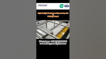 Hongsam High Sunlight Resistance Disperse Dye Inks for Carpet Printing #carpetprinting