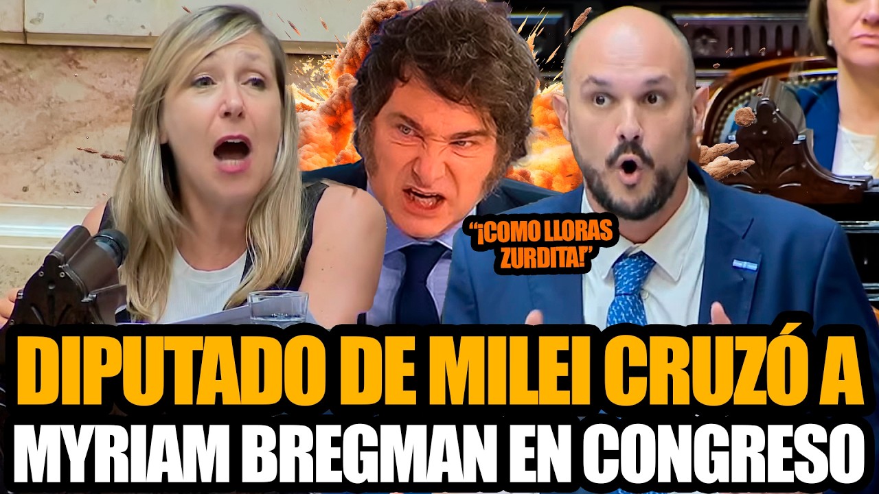 DIPUTADO DE MILEI CRUZÓ FUERTE A MYRIAM BREGMAN EN EL CONGRESO - YouTube