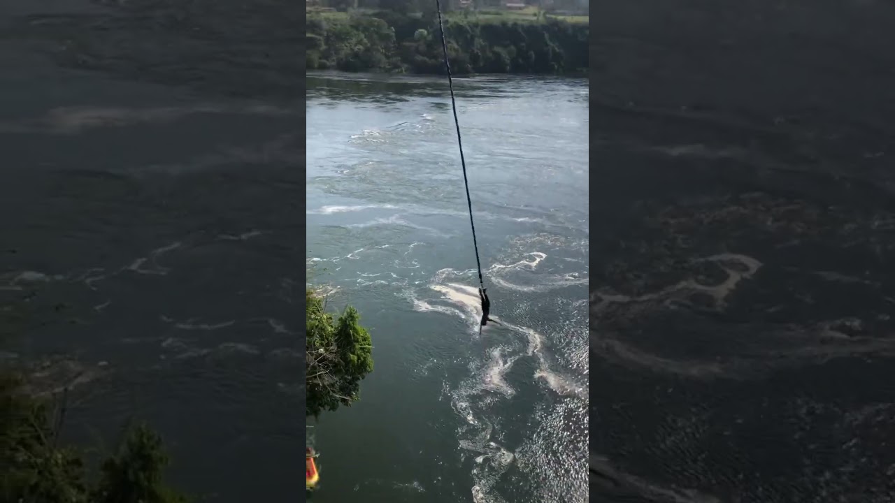 Bungee Jumping in Uganda on the Nile River makes you feel like you're on another planet. #shorts