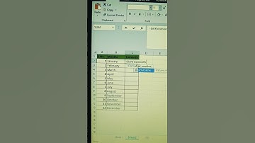 How to Use Day to Eomonth in Excel || MTS All Teach #eomonth formula #exceltips#exceltech 💯👍👌