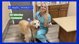 It really Works!!! | Zymox Before and After EAR INFECTION Treatment