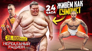 24 ЧАСА ПИТАЮСЬ КАК СУМОИСТ 300КГ!!! ДЖАВИД  20 000 КАЛОРИЙ | НЕРЕАЛЬНЫЙ РАЦИОН!