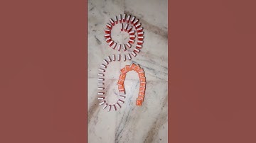 Asmr | Domino Effect Taking Over The Internet #549