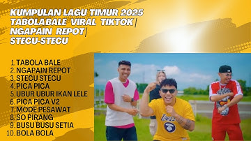 Kumpulan Lagu Timur 2025 Tabola Bale Viral Tiktok | Ngapain Repot | Stecu-Stecu