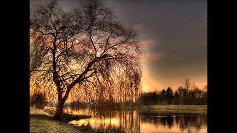 تعقيب صلاة الظهر للقارئ للحاج غسان الزين