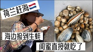 2023.06.05 荷兰zeeland 度假 赶海， 生蚝就生吃了吧，挖蛤蜊， 象鼻蚌。 民宿主人是德国人