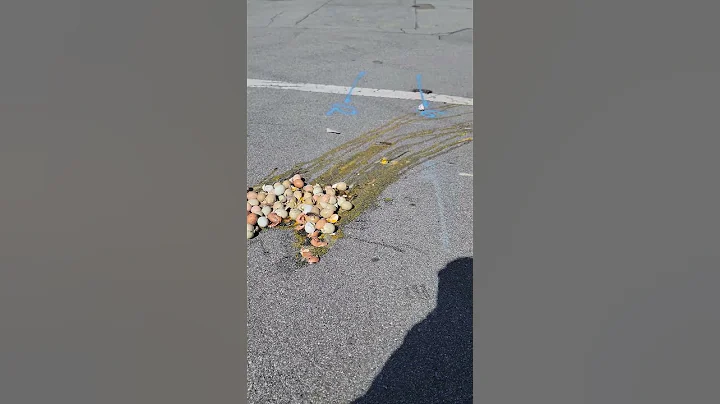 eggs broken 🫣#shorts #crazy #egg #sad #waste #sanfrancisco