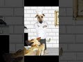 Dogs Like Raw Food But Not For Humans! Cactus Jack Chef | Jas Patrick Voice Actor #shorts #chicken