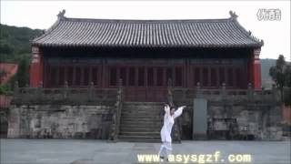 WUDANG DAOIST Five ( 5 ) Elements QIGONG by Li YuanFei ...........Part ( 4 ) Fire  .