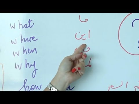 city guidelines Say it in Arabic: Interrogation Particles